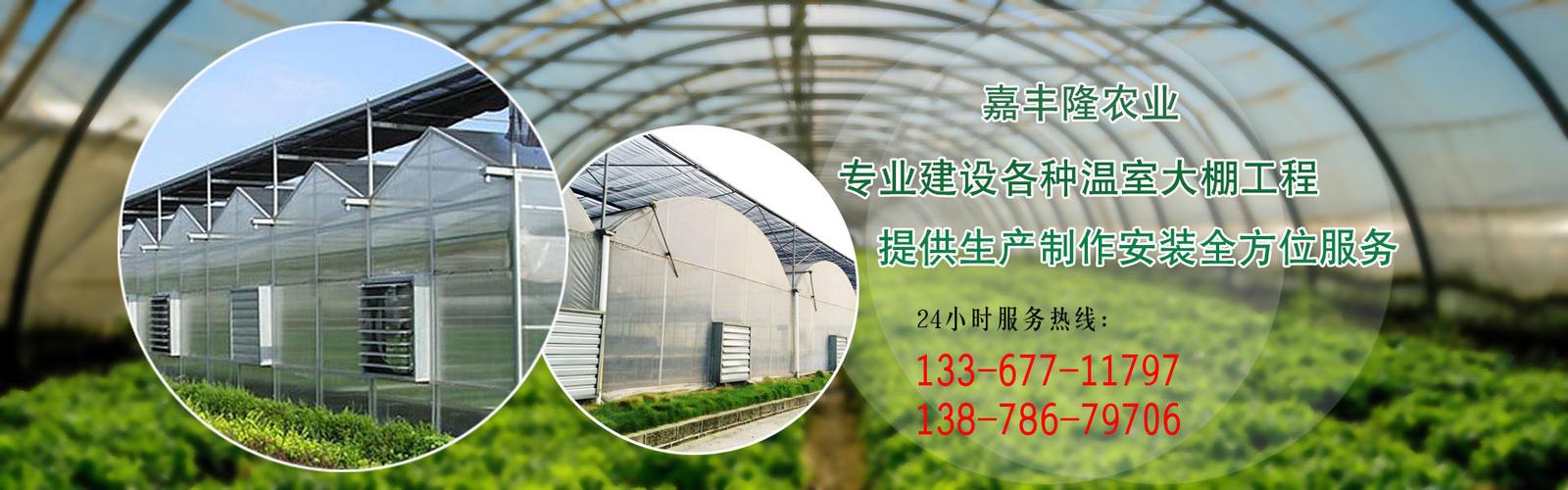 广西南宁市嘉丰隆农业科技 深耕节水灌溉，赋能现代农业